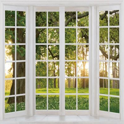Window Backdrop,Yeele 10x6.5ft Spring Forest Background for Photography White Window Frame Sunshine Through Trees Background Online Office Wallpaper Meeting Decorations