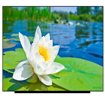 14" FHD LCD Screen Display Replacement LED Panel WCDHX GC2FN for DELL Latitude 5420 Model P137G (Non-Touch)