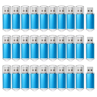 RAOYI 100 Pack 1GB 1G USB Flash Drive USB 2.0 Memory Stick Bulk Thumb Drive Pen Drive Jump Drive-Blue