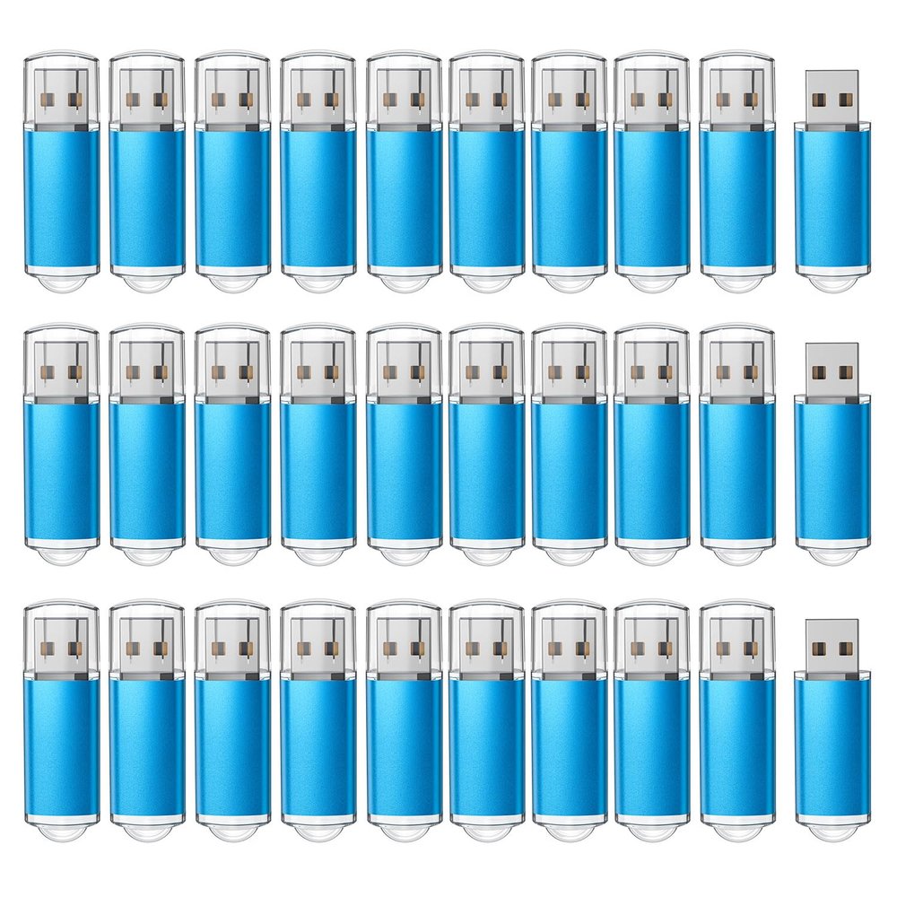 RAOYI 100 Pack 1GB 1G USB Flash Drive USB 2.0 Memory Stick Bulk Thumb Drive Pen Drive Jump Drive-Blue