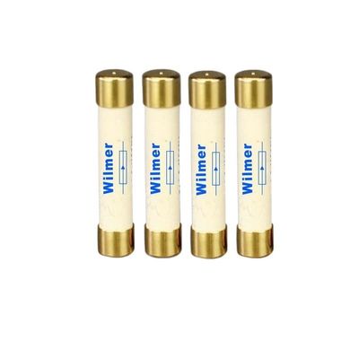 NOVOCE 6 * 32MM 10A Sterling Silver Fuse Tube Gold-Plated Slow Blow Fuse HiFi Fever Grade CD Turntable Amplifier Preamp Post-amp