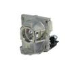 9E.0C101.001 Replacement Projector Lamp Bulb with Housing for BENQ SP920 / SP930 view 1