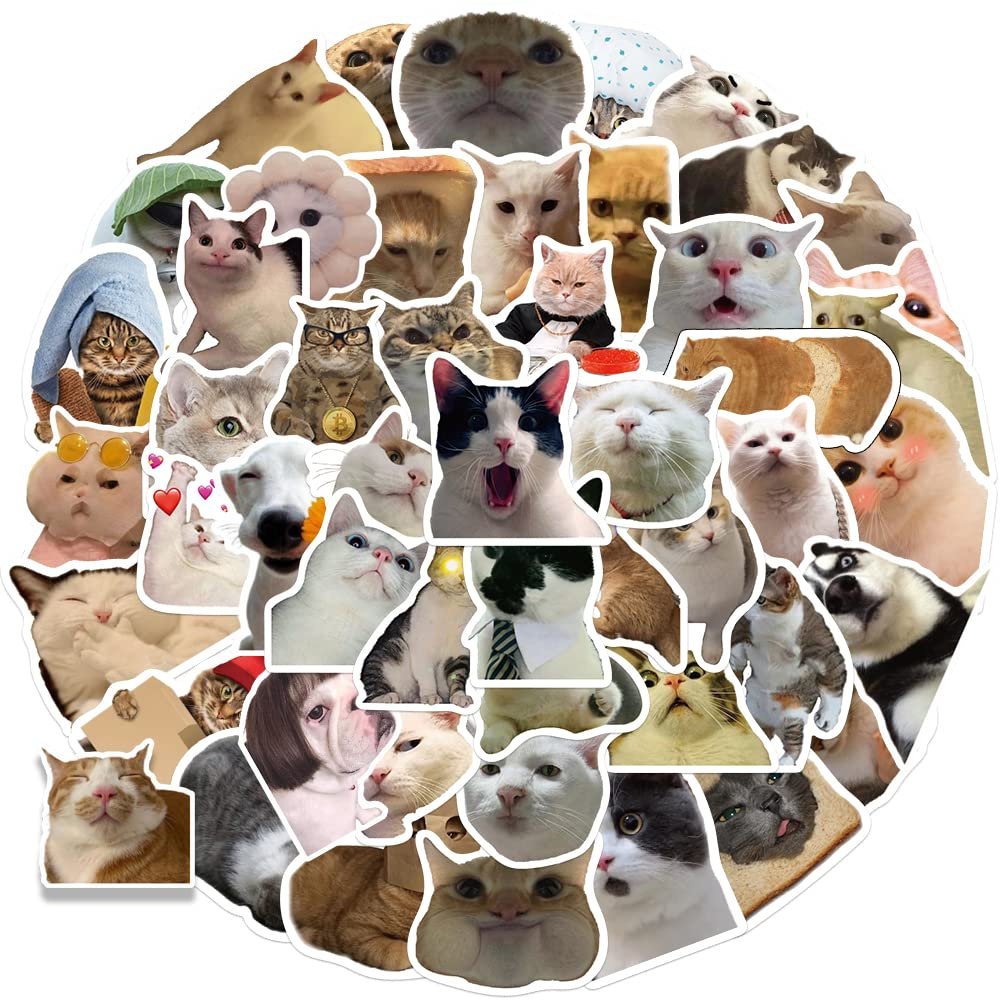 100PCS Cute Cat Stickers,Kawaii Funny Cat Meme Decals Vinyl Waterproof Stickers for Water Bottle Laptop Bumper Phone Guitar
