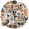 100PCS Cute Cat Stickers,Kawaii Funny Cat Meme Decals Vinyl Waterproof Stickers for Water Bottle Laptop Bumper Phone Guitar view 1