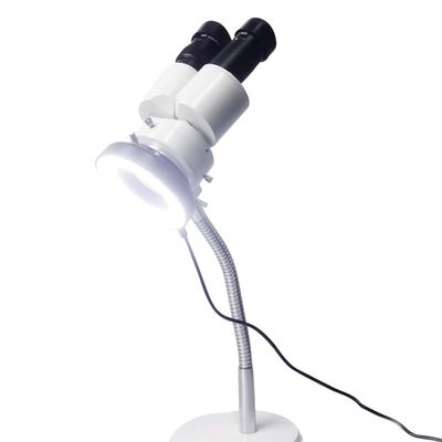 10X Binocular Microscope with LED Light Lamp 360 Rotatable Gooseneck Arm for Dental Lab Workshop Phone PCB Soldering Repair Tool Adjustable Hose