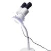 10X Binocular Microscope with LED Light Lamp 360 Rotatable Gooseneck Arm for Dental Lab Workshop Phone PCB Soldering Repair Tool Adjustable Hose view 1