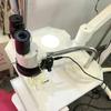 10X Binocular Microscope with LED Light Lamp 360 Rotatable Gooseneck Arm for Dental Lab Workshop Phone PCB Soldering Repair Tool Adjustable Hose view 3