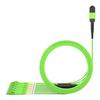 AMPCOM MPO to LC Breakout Cable 50/125m Multimode OM5(12 Fiber, MPO to LC, Type B, LSZH/Riser, UPC, Lime Green) 40m (131ft) view 1