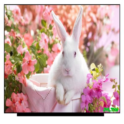 14" 2240X1400 40PIN LCD Screen Replacement LED Display M140NWHE R2 M59210-N91 (Non-Touch)