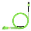 AMPCOM MPO to LC Breakout Cable 50/125m Multimode OM5(8 Fiber, MPO to LC, Type B, LSZH/Riser, UPC, Lime Green) 25m (82ft) view 1