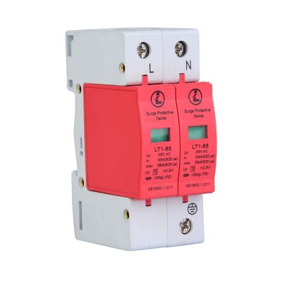 2P 20KA Photovoltaic House Protector Low Voltage Arrester Device Protective Device for C and D Level Thunder (2P65KA)