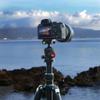 SIOTI Camera Ball Head Tripod Mount, Compatible with Camera, Camcorder, Telescope, Action Camera, Slider, Tripod (34mm Diameter Ball) view 2