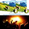 XARONF 1080P Projector, Full HD Movie Projector, Home Theater Video Projector Compatible w/HDMI/PC/DVD/TV view 4