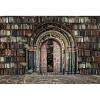 12x10ft Vintage Bookshelf Backdrop,Magic Bookcase Books Grunge Ancient Classic Library Vinyl Photography Background Students Kid Adult Artistic Portrait Photo Studio Props view 4