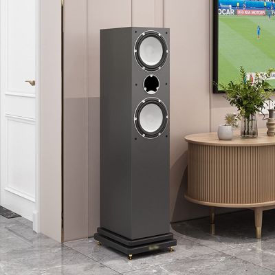ARZARF Audio Stand Sound Box Base Tray Floor Mounted Sound Subwoofer Foot Rest Clapboard Double-Layer Shock Absorber Base Plate Thickened Foot Nails (Color : 1, Size : 20X40cm)