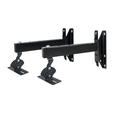 ARZARF Lengthened and Thickened Speaker Wall Mount Bracket Can Be Rotated and Can Be Adjusted to Tilt The Speaker Mounting Bracket (Color : D)