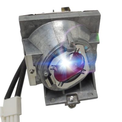 CTLAMP A+ Quality RLC-114 Replacement Projector Lamp Bulb with Housing Compatible with ViewSonic PG703X