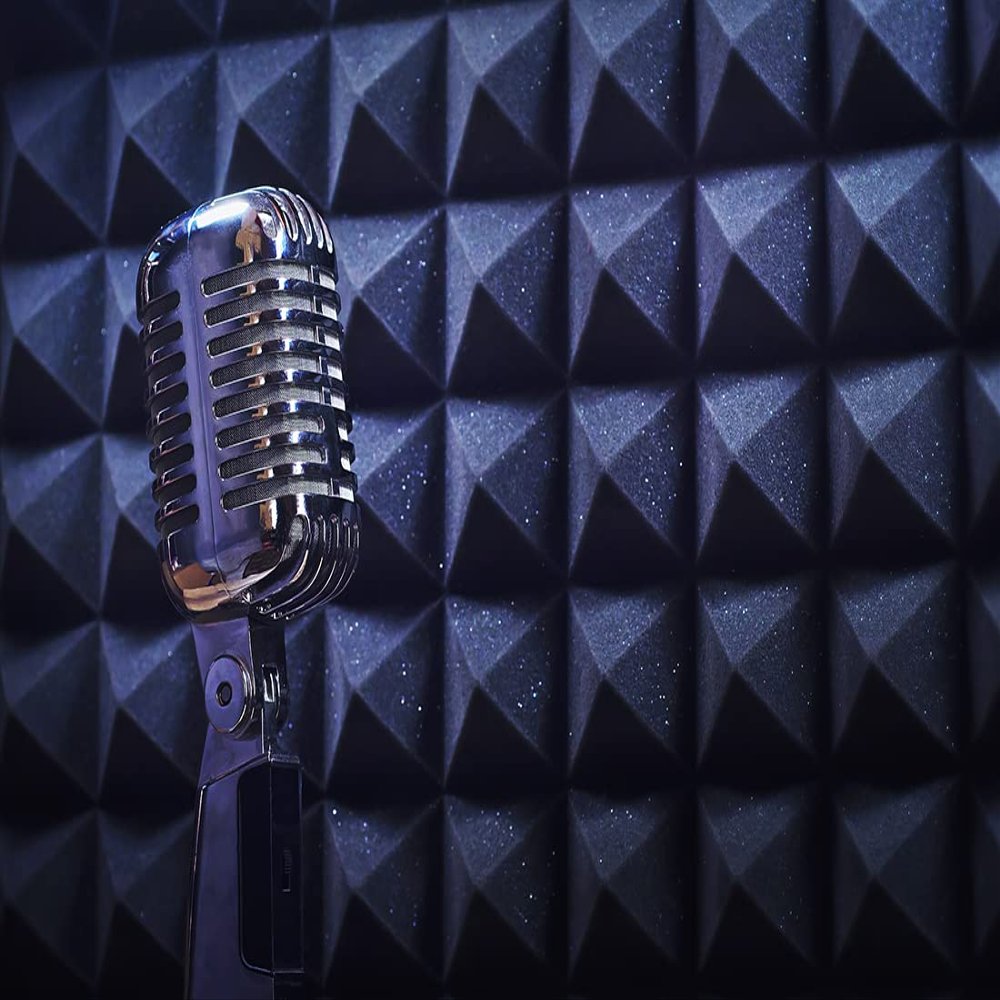 BELECO 10x6.5ft Fabric Microphone Music Backdrop Old Fashion Mic Recording Studio Booth Background Karaoke DJ Disco Concert Party Decorations Children Kids Adults Selfie Shoot Video Studio Props