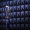 BELECO 10x6.5ft Fabric Microphone Music Backdrop Old Fashion Mic Recording Studio Booth Background Karaoke DJ Disco Concert Party Decorations Children Kids Adults Selfie Shoot Video Studio Props view 1
