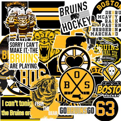 30 PCS American Hockey Stickers for Water Bottle, Laptop, Bicycle, Computer, Motorcycle, Travel Case, Car Decal Decoration Sticker 2-2.5 inches