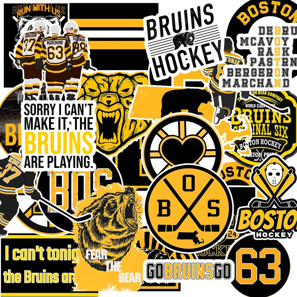 30 PCS American Hockey Stickers for Water Bottle, Laptop, Bicycle, Computer, Motorcycle, Travel Case, Car Decal Decoration Sticker 2-2.5 inches