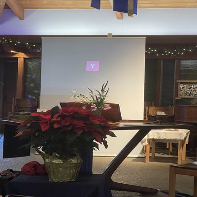 Deluxe Retractable Projection Backdrop Stand 48" x65-90 Thick and Durable Fabric for Photo Video with Carry Bag (48")