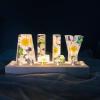 Alphabet-Custom Eternal Flower LED Night Light USB Letter Led Dried Decorative Lamp for Lover Wife Girlfriend (10 Letters) view 2