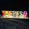 Alphabet-Custom Eternal Flower LED Night Light USB Letter Led Dried Decorative Lamp for Lover Wife Girlfriend (2 Letters) view 1