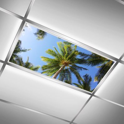 MSINMKOK Summer Day Blue Sky Tropical Palm Tree Fluorescent Light Covers - 2x4 Flexible Decorative Light Diffuser Panels - Eliminate Harsh Glare Causing Eyestrain and Headaches,Office & Classroom