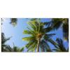 MSINMKOK Summer Day Blue Sky Tropical Palm Tree Fluorescent Light Covers - 2x4 Flexible Decorative Light Diffuser Panels - Eliminate Harsh Glare Causing Eyestrain and Headaches,Office & Classroom view 2