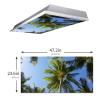MSINMKOK Summer Day Blue Sky Tropical Palm Tree Fluorescent Light Covers - 2x4 Flexible Decorative Light Diffuser Panels - Eliminate Harsh Glare Causing Eyestrain and Headaches,Office & Classroom view 3