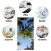 MSINMKOK Summer Day Blue Sky Tropical Palm Tree Fluorescent Light Covers - 2x4 Flexible Decorative Light Diffuser Panels - Eliminate Harsh Glare Causing Eyestrain and Headaches,Office & Classroom view 4