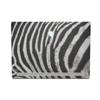 MightySkins Skin Compatible with Alienware X17 R2 (2022) Full Wrap Kit - Zebra Closeup | Protective, Durable, and Unique Vinyl Decal wrap Cover | Easy to Apply & Change Styles | Made in The USA view 1