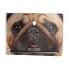 MightySkins Glossy Glitter Skin Compatible with Alienware M15 R7 (2022) Full Wrap Kit - Pug | Protective, Durable High-Gloss Glitter Finish | Easy to Apply & Change Styles | Made in The USA view 1