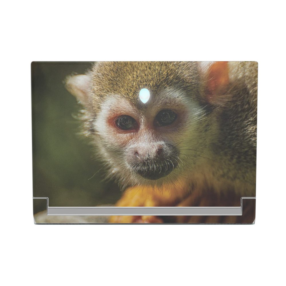 MightySkins Skin Compatible with Alienware X17 R2 (2022) Full Wrap Kit - Squirrel Monkey | Protective, Durable, and Unique Vinyl Decal wrap Cover | Easy to Apply & Change Styles | Made in The USA