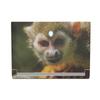MightySkins Skin Compatible with Alienware X17 R2 (2022) Full Wrap Kit - Squirrel Monkey | Protective, Durable, and Unique Vinyl Decal wrap Cover | Easy to Apply & Change Styles | Made in The USA view 1