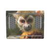 MightySkins Skin Compatible with Alienware X17 R2 (2022) Full Wrap Kit - Squirrel Monkey | Protective, Durable, and Unique Vinyl Decal wrap Cover | Easy to Apply & Change Styles | Made in The USA view 2