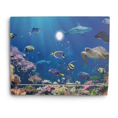 MightySkins Skin Compatible with Alienware X14 (2022) Full Wrap Kit - Reef Life | Protective, Durable, and Unique Vinyl Decal wrap Cover | Easy to Apply & Change Styles | Made in The USA