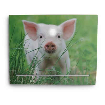 MightySkins Skin Compatible with Alienware X14 (2022) Full Wrap Kit - Piglet | Protective, Durable, and Unique Vinyl Decal wrap Cover | Easy to Apply & Change Styles | Made in The USA