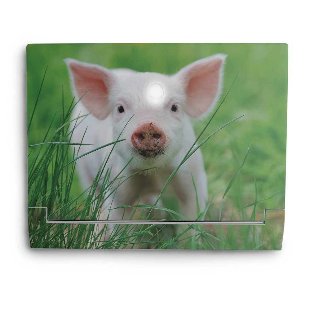 MightySkins Skin Compatible with Alienware X14 (2022) Full Wrap Kit - Piglet | Protective, Durable, and Unique Vinyl Decal wrap Cover | Easy to Apply & Change Styles | Made in The USA