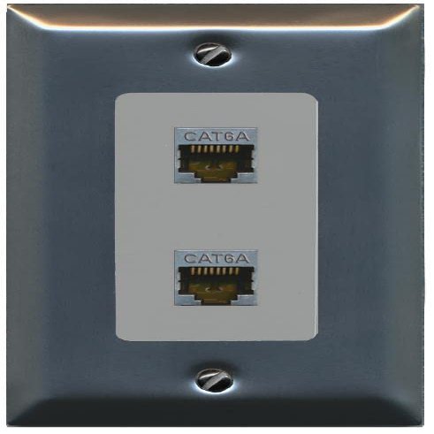 RiteAV 2 Port Cat6A Wall Plate - 1 Gang Decorative [Stainless/Gray]