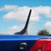 Short Antenna for 2011-2025 Jeep Cherokee, Renegade, Compass, Grand Cherokee, Chrysler 200, Dodge Avenger, Dart, Durango, Journey, Nitro, Fiat 500 5091100AA 68297936AA view 3