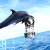 Sea frogs Waterproof Case / 40M Underwater Diving Protection Case Waterproof Depth for Insta360 X3 view 4