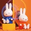 Miffy Portable Bluetooth Speakers, Cute Portable Wireless Speakers with Loud Stereo Sound, Built-in Mic, TF-Card Slot, Dual Pairing,40H Playtime for Room, Desk Decor, for her (Blue) view 4