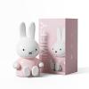 Miffy Portable Bluetooth Speakers, Cute Portable Wireless Speakers with Loud Stereo Sound, Built-in Mic, TF-Card Slot, Dual Pairing,40H Playtime for Room, Desk Decor, for her (Pink) view 1