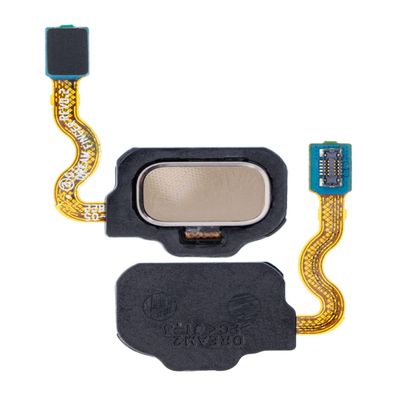 BEST SHOPPER - Fingerprint Reader with Flex Cable Compatible with Samsung Galaxy S8/S8 Plus - Replacement Touch ID Scanner - Fingerprint Sensor Flex Key Module - Cellphone Repair Part - Champion Gold