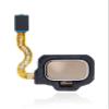 BEST SHOPPER - Fingerprint Reader with Flex Cable Compatible with Samsung Galaxy S8/S8 Plus - Replacement Touch ID Scanner - Fingerprint Sensor Flex Key Module - Cellphone Repair Part - Champion Gold view 2