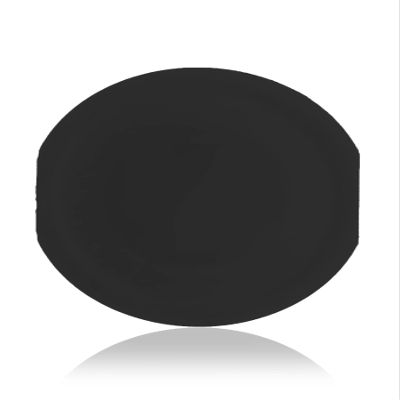 Replacement Home Button Compatible with iPod Nano 7 (Black)