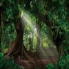 Fairytale Jungle Backdrop Yeele 10x6.5ft Spring Nature Landscape Background for Photography Rainforest Dreamland Dirt Road Green Photography Background Birthday Party Decor Portrait Photo Booth Prop view 1