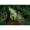 Fairytale Jungle Backdrop Yeele 10x6.5ft Spring Nature Landscape Background for Photography Rainforest Dreamland Dirt Road Green Photography Background Birthday Party Decor Portrait Photo Booth Prop view 4